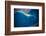 Satellite view of city at lake side, Great Lakes, North America-null-Framed Photographic Print