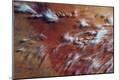 Photographic Print