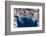 Satellite view of coastal area of Kuwait, Iraq and Iran in Persian Gulf-null-Framed Photographic Print