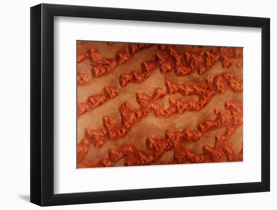 Satellite view of desert in Dhofar Governorate, Oman-null-Framed Photographic Print
