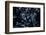 Satellite view of Disneyworld, Orlando, Florida, USA-null-Framed Photographic Print