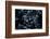 Satellite view of Disneyworld, Orlando, Florida, USA-null-Framed Photographic Print