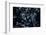 Satellite view of Disneyworld, Orlando, Florida, USA-null-Framed Photographic Print