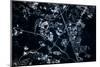 Satellite view of Disneyworld, Orlando, Florida, USA-null-Mounted Photographic Print