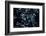 Satellite view of Disneyworld, Orlando, Florida, USA-null-Framed Photographic Print