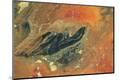 Photographic Print