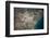 Satellite view of Houston, Texas, USA-null-Framed Photographic Print