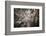 Satellite view of Houston, Texas, USA-null-Framed Photographic Print