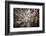 Satellite view of Houston, Texas, USA-null-Framed Photographic Print