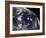 Satellite View of Hurricane Irene Moving Through the Bahamas-Stocktrek Images-Framed Photographic Print