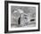 Satellite View of Ice on the Great Lakes, United States-null-Framed Photographic Print