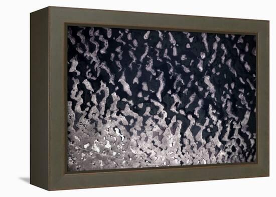 Satellite view of Lake Chad in Chad and Cameroon-null-Framed Premier Image Canvas