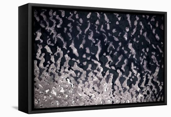 Satellite view of Lake Chad in Chad and Cameroon-null-Framed Premier Image Canvas