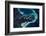 Satellite view of Lake Ellesmere and Pigeon Bay at Banks Peninsula near Christchurch, New Zealand-null-Framed Photographic Print