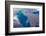 Satellite view of Lake Erie between USA and Canada-null-Framed Photographic Print