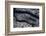 Satellite view of Manhattan, New York City, New York State, USA-null-Framed Photographic Print