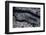 Satellite view of Manhattan, New York City, New York State, USA-null-Framed Photographic Print