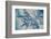 Satellite view of Mississippi River Delta, Louisiana, USA-null-Framed Photographic Print