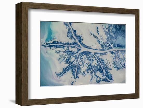 Satellite view of Mississippi River Delta, Louisiana, USA-null-Framed Photographic Print