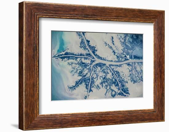 Satellite view of Mississippi River Delta, Louisiana, USA-null-Framed Photographic Print