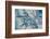 Satellite view of Mississippi River Delta, Louisiana, USA-null-Framed Photographic Print