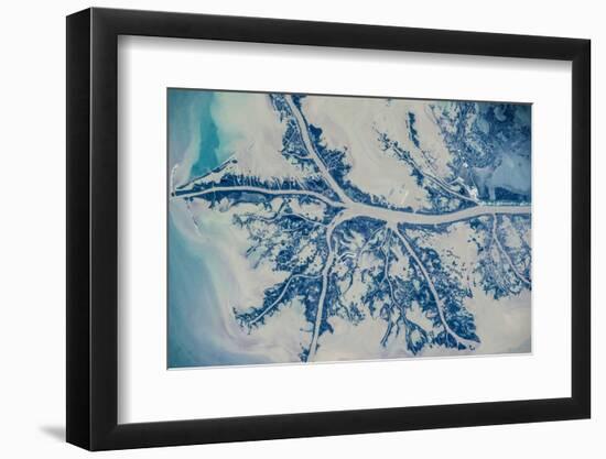 Satellite view of Mississippi River Delta, Louisiana, USA-null-Framed Photographic Print