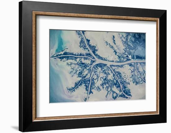Satellite view of Mississippi River Delta, Louisiana, USA-null-Framed Photographic Print