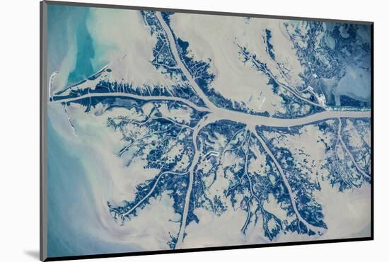 Satellite view of Mississippi River Delta, Louisiana, USA-null-Mounted Photographic Print