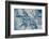 Satellite view of Mississippi River Delta, Louisiana, USA-null-Framed Photographic Print