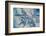 Satellite view of Mississippi River Delta, Louisiana, USA-null-Framed Photographic Print