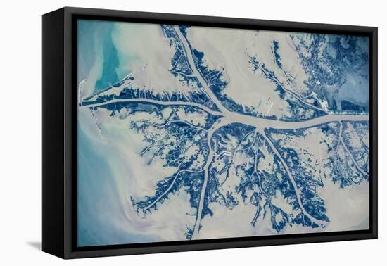 Satellite view of Mississippi River Delta, Louisiana, USA-null-Framed Premier Image Canvas