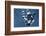 Satellite view of Montserrat Island, British Overseas Territory-null-Framed Photographic Print