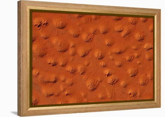 Satellite view of Murzuk Desert, Libya-null-Framed Premier Image Canvas