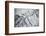 Satellite view of Neobrara River near Newman Grove, Nebraska, USA-null-Framed Photographic Print