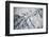 Satellite view of Neobrara River near Newman Grove, Nebraska, USA-null-Framed Photographic Print