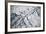 Satellite view of Neobrara River near Newman Grove, Nebraska, USA-null-Framed Photographic Print