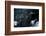 Satellite view of New Jersey, USA-null-Framed Photographic Print