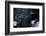 Satellite view of New Jersey, USA-null-Framed Photographic Print