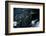 Satellite view of New Jersey, USA-null-Framed Photographic Print