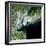 Satellite View of New York City-Stocktrek Images-Framed Photographic Print