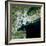 Satellite View of New York City-Stocktrek Images-Framed Photographic Print