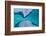 Satellite view of North Aral Sea, Karandy Region, Kazakhstan-null-Framed Photographic Print