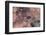 Satellite view of Novajo Nation Reservation and Lake Powell, Grand Canyon, Arizona, USA-null-Framed Photographic Print