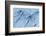 Satellite view of Pavlodar Province, Kazakhstan-null-Framed Photographic Print