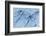 Satellite view of Pavlodar Province, Kazakhstan-null-Framed Photographic Print