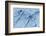 Satellite view of Pavlodar Province, Kazakhstan-null-Framed Photographic Print