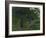 Satellite View of the Great Lakes-Stocktrek Images-Framed Photographic Print