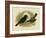 Satin Bowerbird, 1891-Gracius Broinowski-Framed Giclee Print