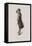 Satire I-Emile Antoine Bayard-Framed Premier Image Canvas