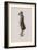 Satire I-Emile Antoine Bayard-Framed Giclee Print